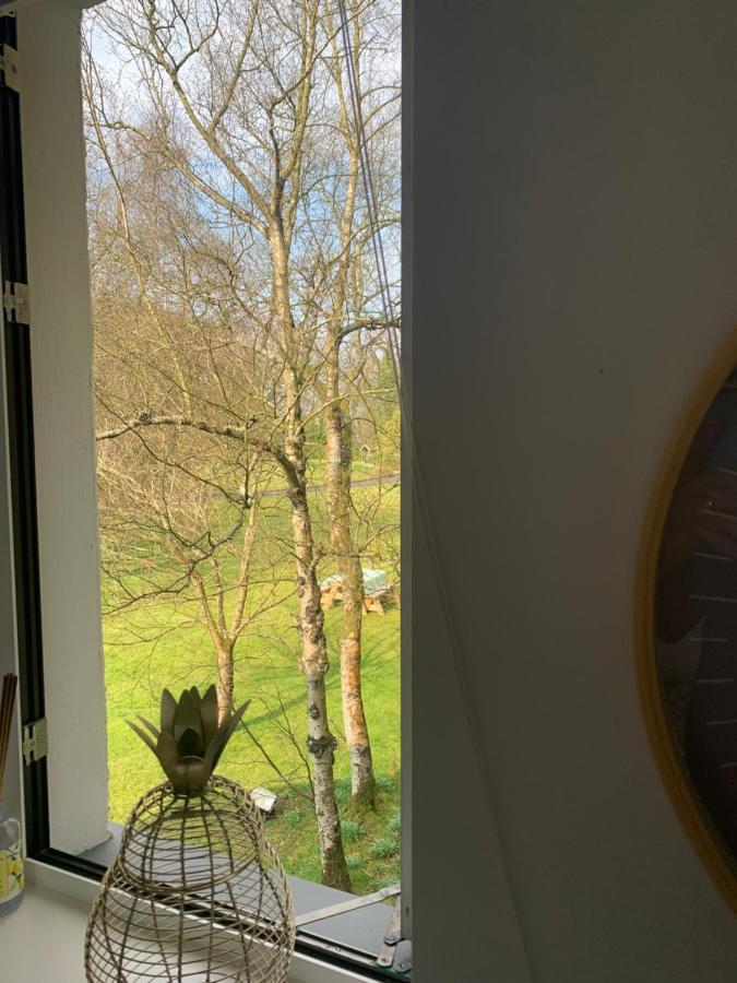 Treetops Coleraine Eksteriør billede